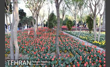 جشنواره لاله‌ها در بوستان زندگی محله هرندی 25