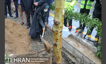 آئین کاشت درخت زندگی 21