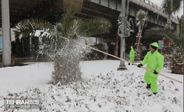 روز برفی در منطقه 8