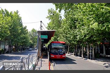 سریع، ارزان، قرمز 29