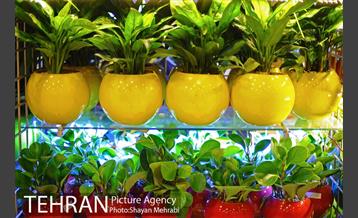 هشتمین نمایشگاه گل و گیاه تهران 17