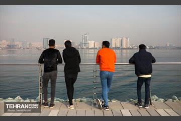 پرندگان مهاجر دریاچه چیتگر 46