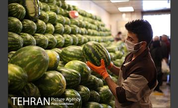 اجرای طرح فاصله گذاری اجتماعی در میدان میوه و تره بار صادقیه 8