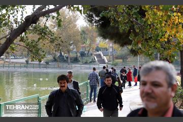 گردهمایی خانواده شهرداری منطقه ۱۶ در بوستان بعثت 16