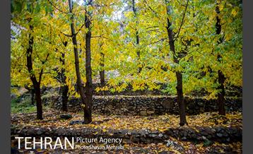 طبیعت پاییزی روستای سنگان 23