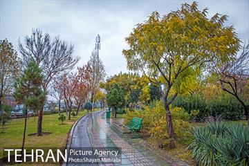 پاییز در بوستان المهدی(عج) 11