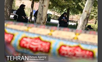 زیر آسمان روضه 4