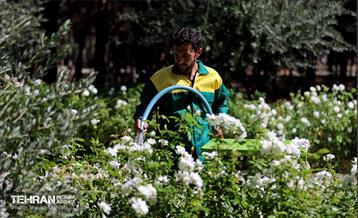 بازدید اصحاب رسانه از روند انجام عملیات احیای چیتگر 32