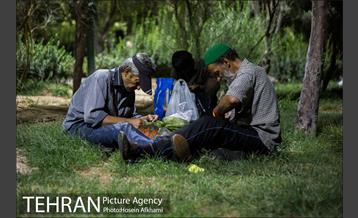 فعالیت های گروه مردمی پردیس پایان کارتن خوابی 12