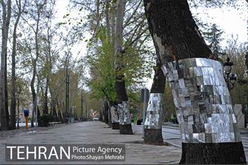 اکران هنرهای محیطی نوروزی در بوستان ملت  25