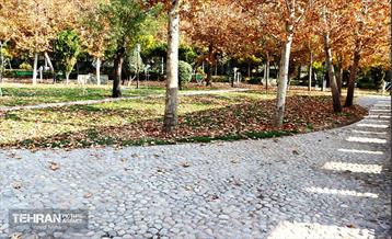 گذر پاییزی بوستان رازی 12