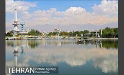 حضور پرندگان مهاجر در تهران 6