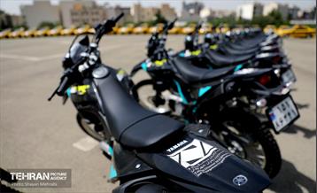 پنجاه‌و‌نهمین پویش امید و افتخار 34