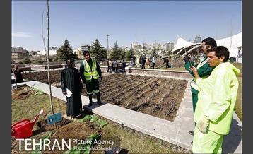 آیین کاشت درخت صلح و دوستی 43