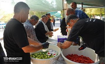 احداث موکب زینبه شهرداری منطقه 8 در کربلا 14