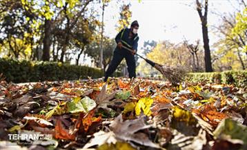 گذرگاه های پاییزی پایتخت - منطقه 14