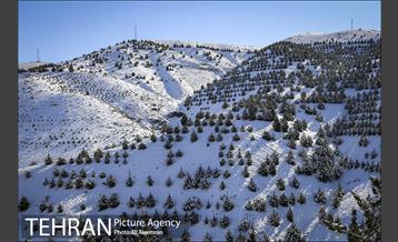 طبیعت برفی تلو 10