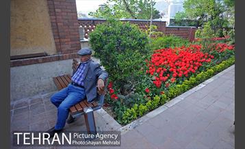 باغ ایرانی (بوستان مهندس مختاری) 21