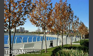 پاییز دریاچه شهدای خلیج فارس 11