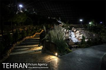 یک شب با پوریا سوری شهردار شب 9