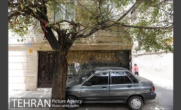 محله مینابی 29