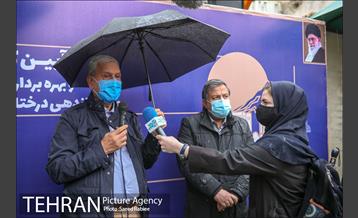 آئین کاشت درخت زندگی 13