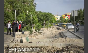 پویش سه شنبه های بدون خودرو در منطقه 8