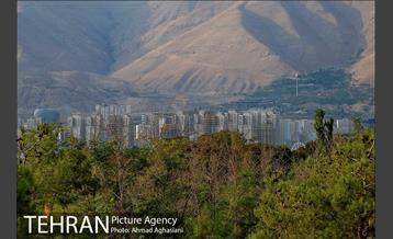 پارک جنگلی چیتگر 32