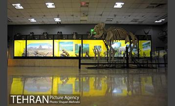 موزه حیات وحش پردیسان 42