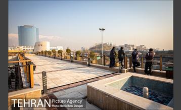 بازگشایی جمعه‌بازار «پروانه» در اراضی عباس‌آباد 27