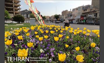 لاله آرایی در منطقه 20