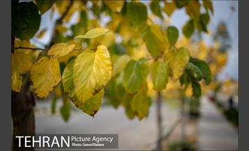 پاییز زیبای پایتخت- 3
