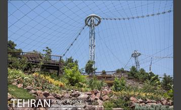 آخرین روزهای ساخت فاز2 باغ پرندگان 20