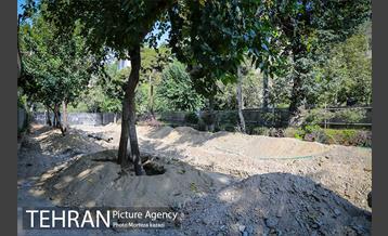 مراحل آماده سازی گذر پیاده راه استاد شهریار 3