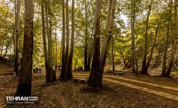 رود دره فرحزاد 6