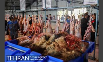 مرکز عرضه دام بهداشتی به مناسبت عید قربان در منطقه 22 تهران 1