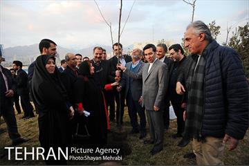 کاشت شش نهال درخت زیتون با حضور کارگرداران سینمای ایران 3