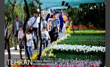 پیاده راه لاله مادران 31