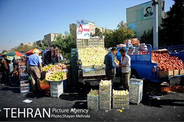 میوه فروشان خیابانی 11