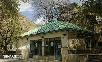 دومین جشنواره شکوفه‌های گیلاس 9