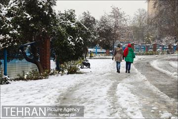 روز برفی تهران در پارک شهر 5