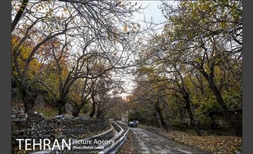 پاییز زیبای منطقه کن 20