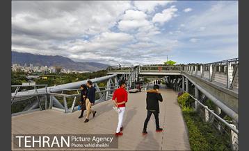 پل طبیعت در اولین روزهای پاییزیی 12