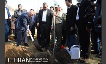 آیین درختکاری با حضور دکتر بطحایی وزیر محترم آموزش و پرورش 5