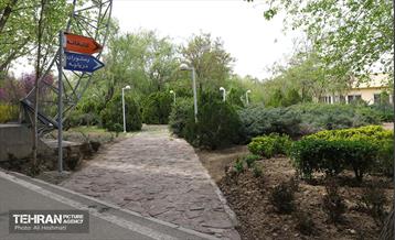 بوستان بانوان نرگس 7