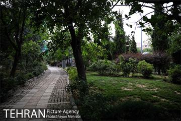 بوستان باغ حکیم 21