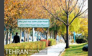 شهرک لاله 17