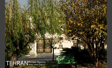 بوستان بنفشه 11