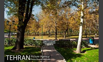 پاییز در پارک های تهران 4