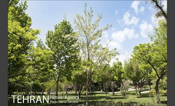 بوستان آزادگان 35